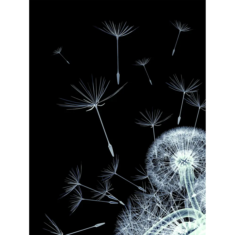 Картина на стекле Рентген 1 60x80 см 85283023 STLM-2154217 ARTABOSKO 