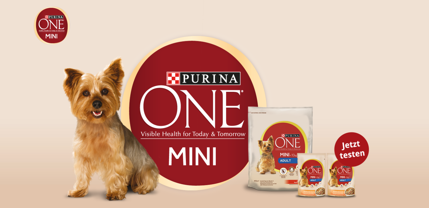 Purina one 1.5 кг. Purina one для собак 1.5 кг. Сухой корм Пурина Ван. Пурина Адулт мини корм. Корм для собак Purina one Purina one , 1.5 кг.