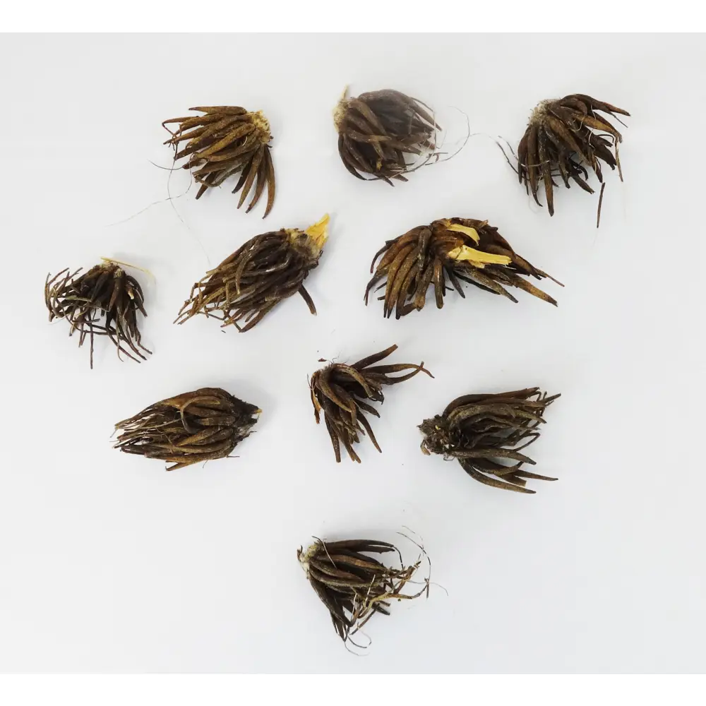 Лютик азиатский Ред от ПОИСК — яркие красные цветы для сада и срезки 89381389 STLM-1580045 - Вид №3