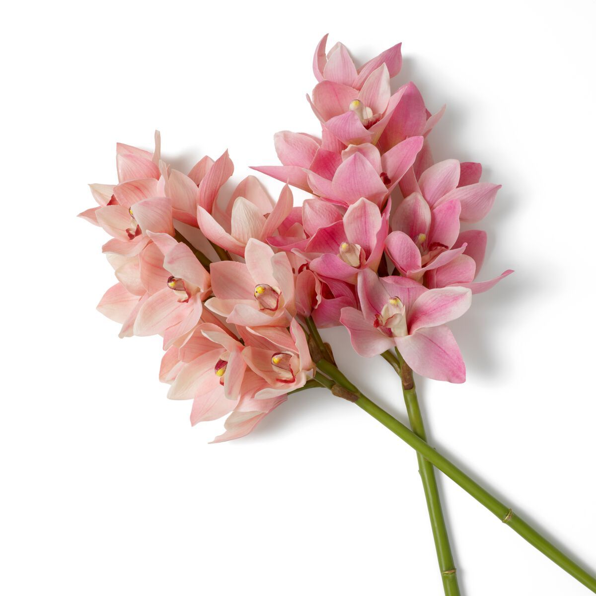 Искусственное растение Eichholtz BOUQUET OF CYMBIDIUM ORCHIDS ARCH-00077131 - Вид №1