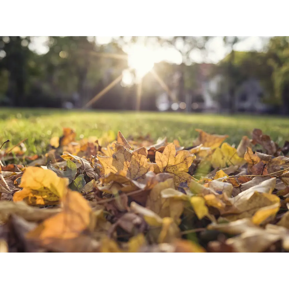 Собиратель листьев механический GARDENA STLM-2083196 - Вид №16