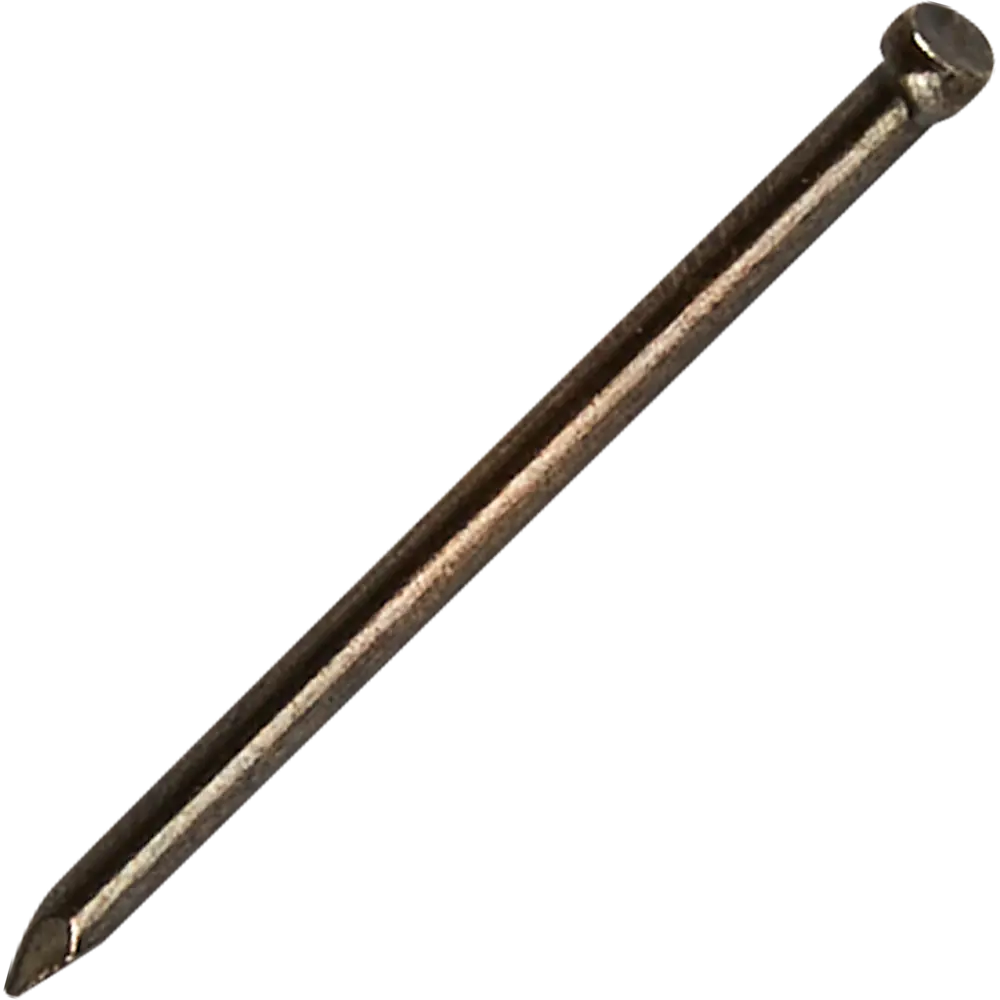 Гвозди финишные 1.4x25 мм 20 шт. 87955896 STLM-2058331 Santreyd 
