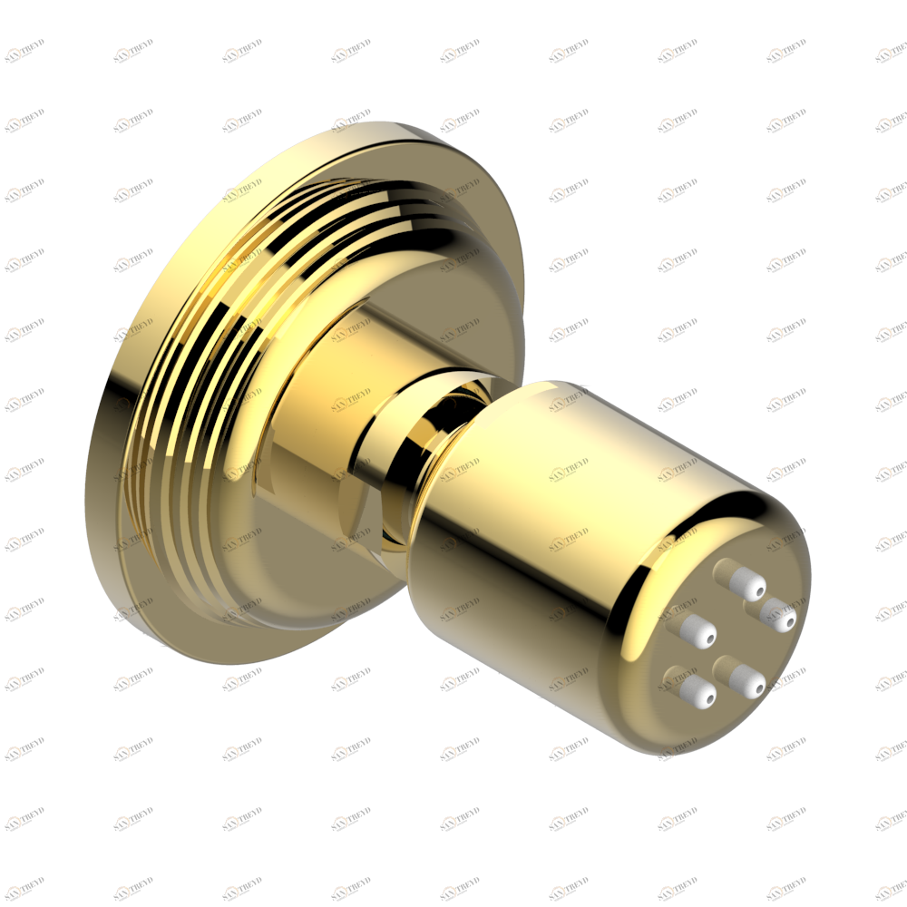 U9C-290/B Форсунка гидромассажная встраиваемая в стену 1/2" с защитой от жёсткой воды Thg-paris West coast с ручками-крестиками с гильошем Покрытие PVD золотистый цвет U9C 290/B CAT.F