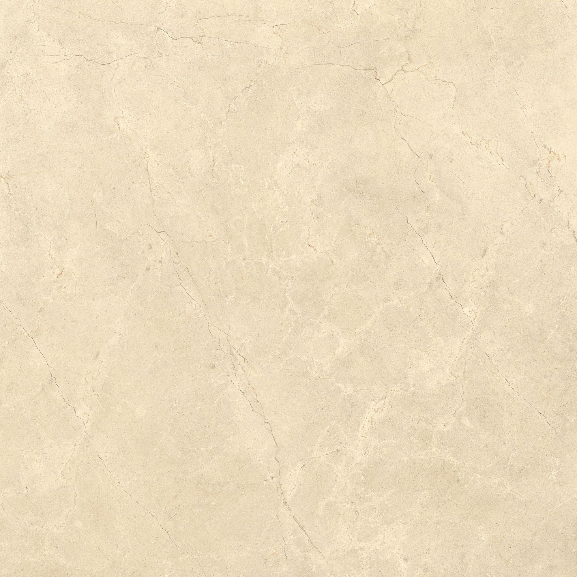 Пол / облицовка керамогранита с эффектом камня Italgraniti Calcis ARCH-00078048 - Вид №7