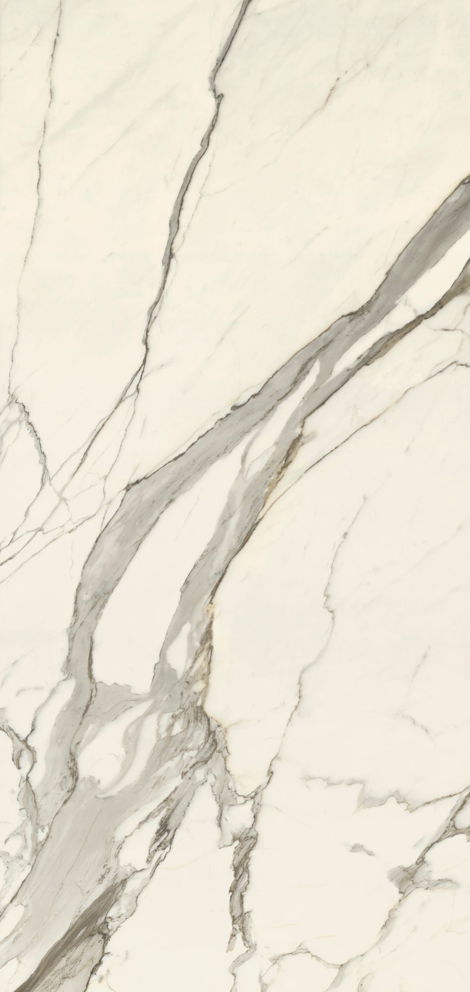 Пол / напольное покрытие из керамогранита с мраморным эффектом CERAMICA DEL CONCA BOUTIQUE ARCH-00056072 - Вид №22