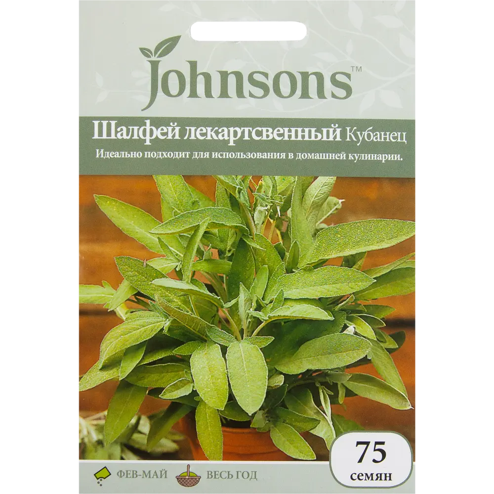 Семена Шалфей лекарственный «Кубанец» 75 шт. 12187204 STLM-2000472 JOHNSONS 