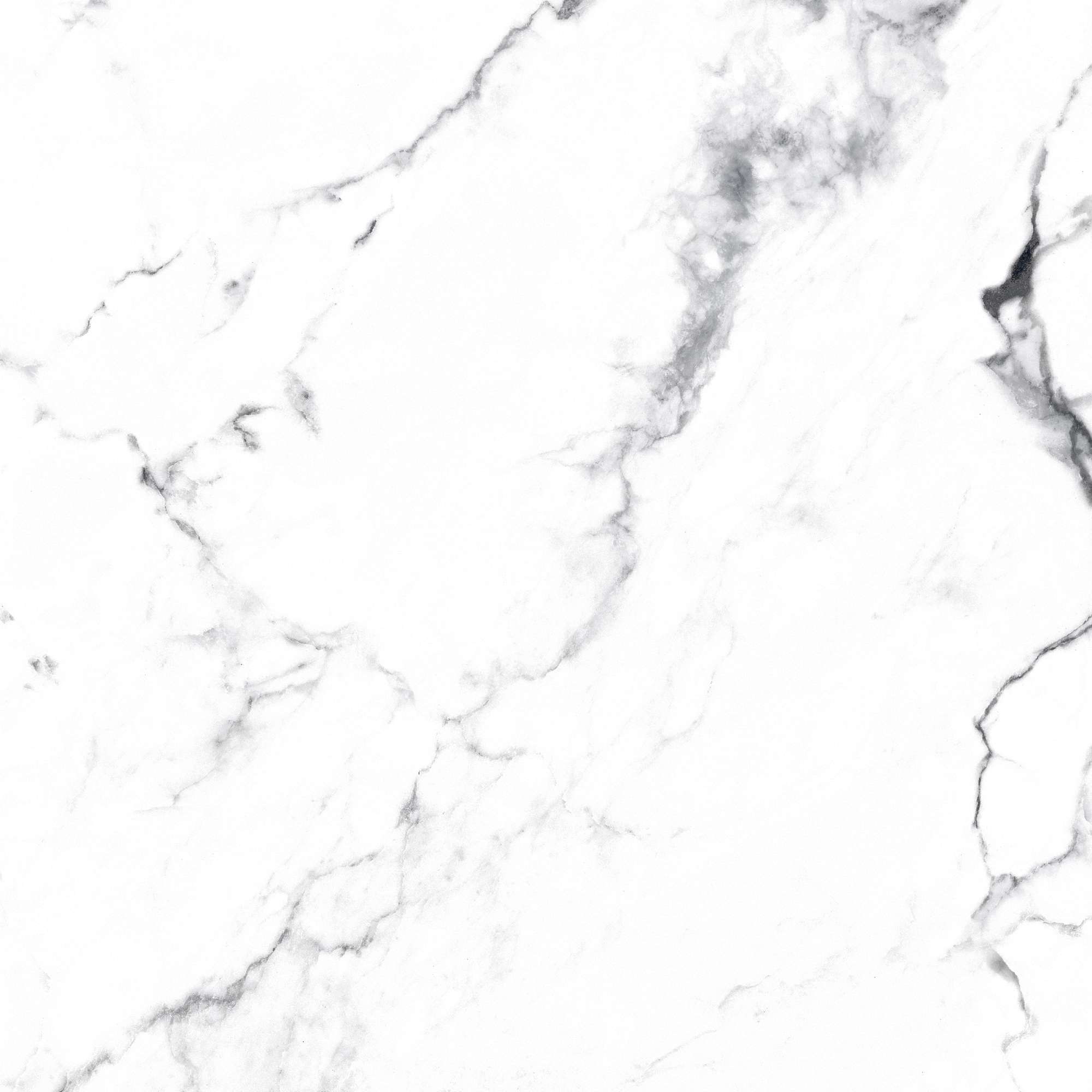 Керамогранит BORGHINI SILVER 60х60 Arcadia Ceramica CR4006-A STLM-2206816 89396428 Carving - Вид №19