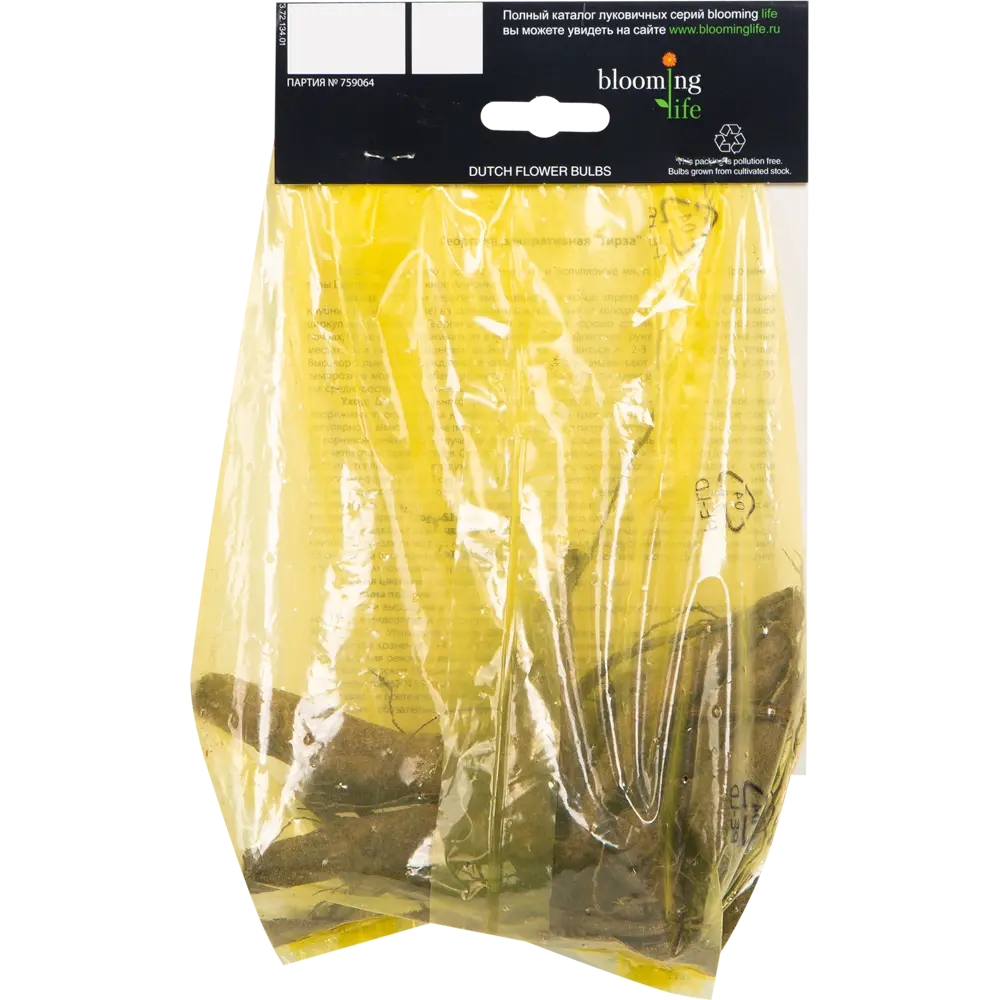 Георгина «Тирза» BLOOMING LIFE STLM-2186306 - Вид №1