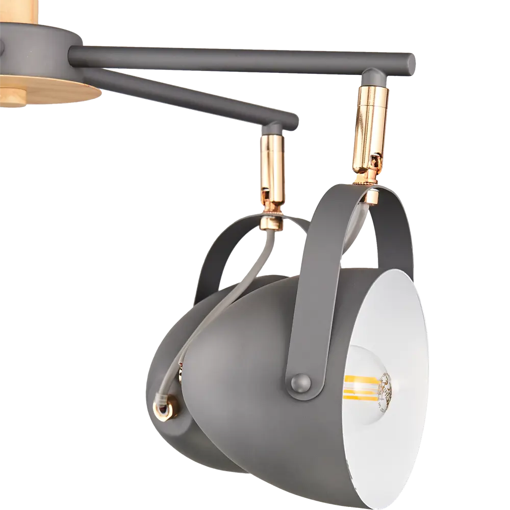 Люстра потолочная Надин, 5 ламп, 15 м², цвет серый WINK STLM-2013318 - Вид №5