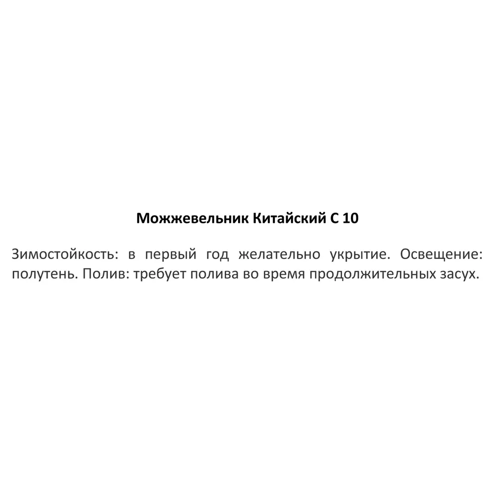 Можжевельник китайский ø13 h40 см 84429174 STLM-2130728 Santreyd  - Вид №2