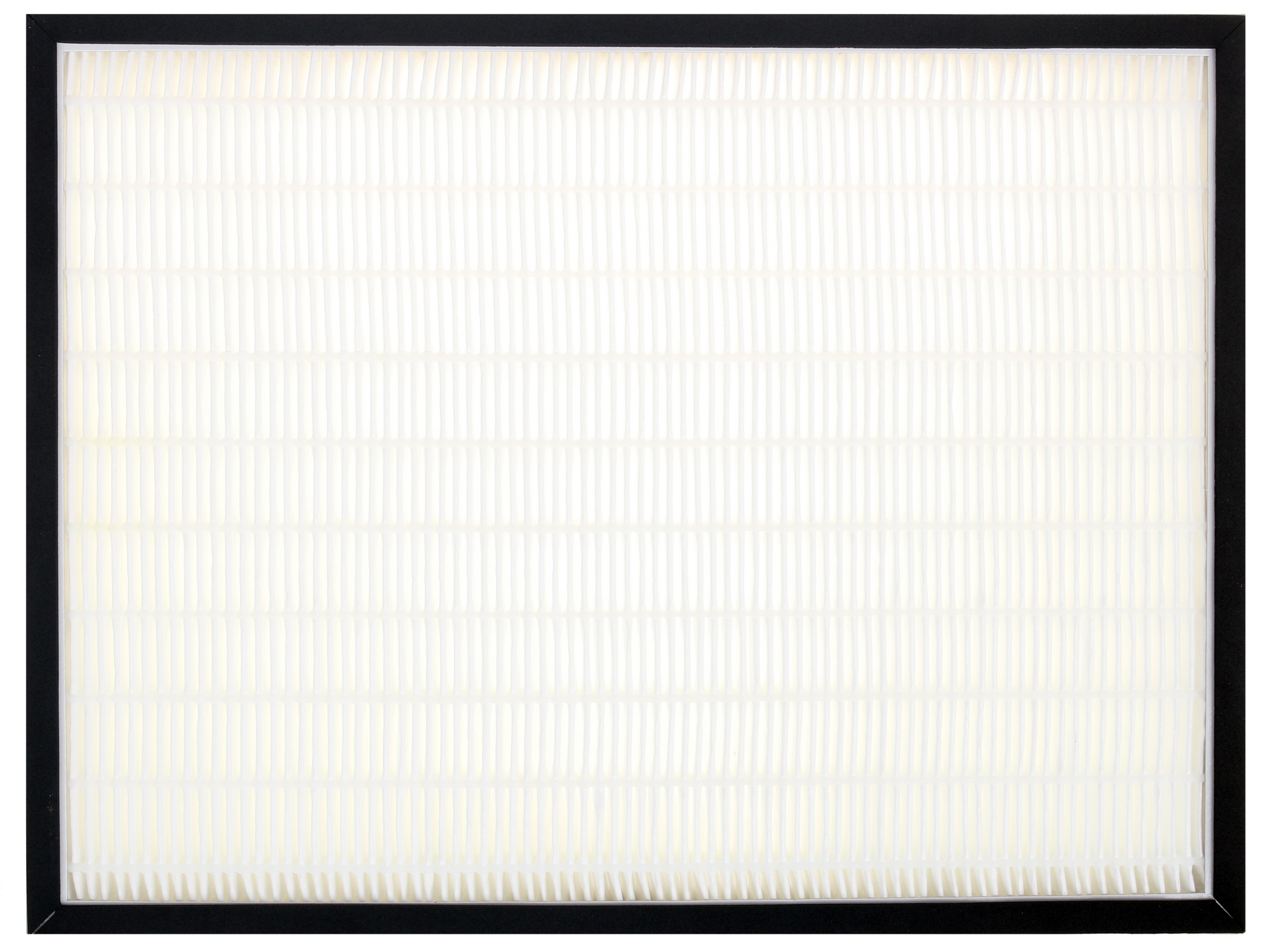 1193425 Фильтр Fellowes FS-94065 STDN-0025856 - Вид №1