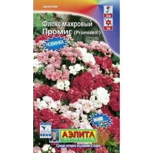 Флокс махровый друммонда «Промис»