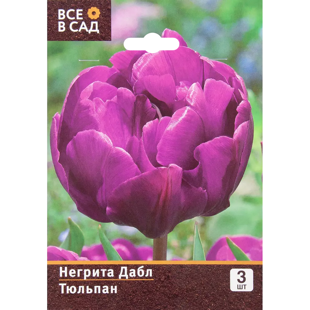 Тюльпан «Негрита Дабл» размер луковицы 10/11, 3 шт ВСЕ В САД STLM-2116838