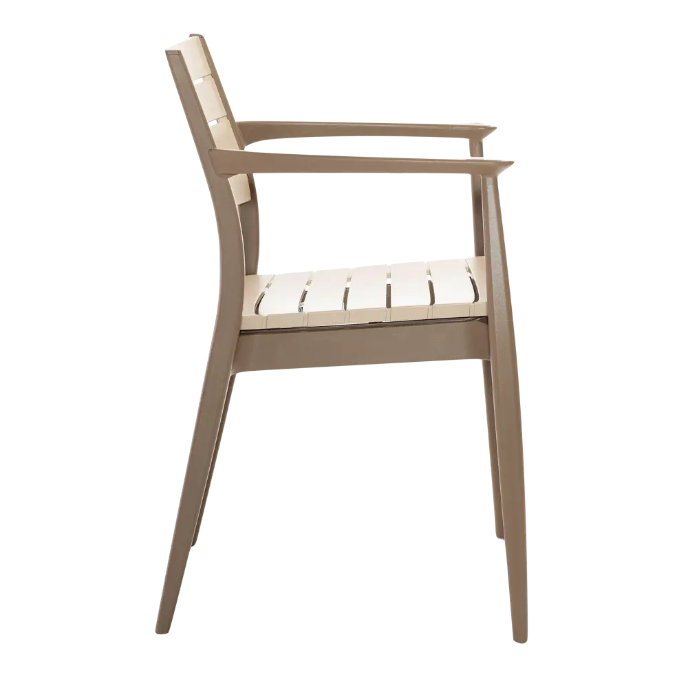 Кресло Novussi Regnum 82x58 см пластик цвет кофейный/капучино Santreyd STLM-2147547 - Вид №3