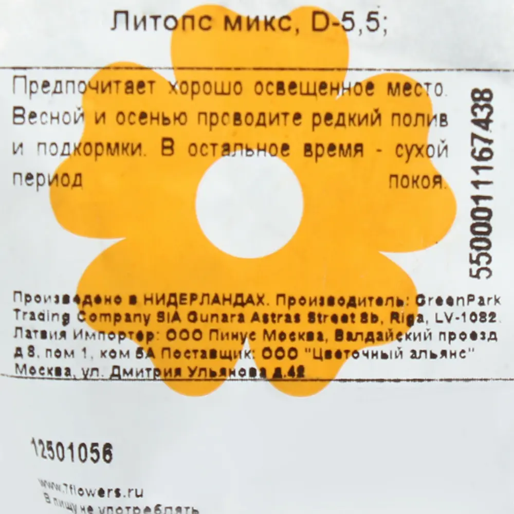 Литопс микс 5х10 см 12501056 STLM-2078115 Santreyd  - Вид №1