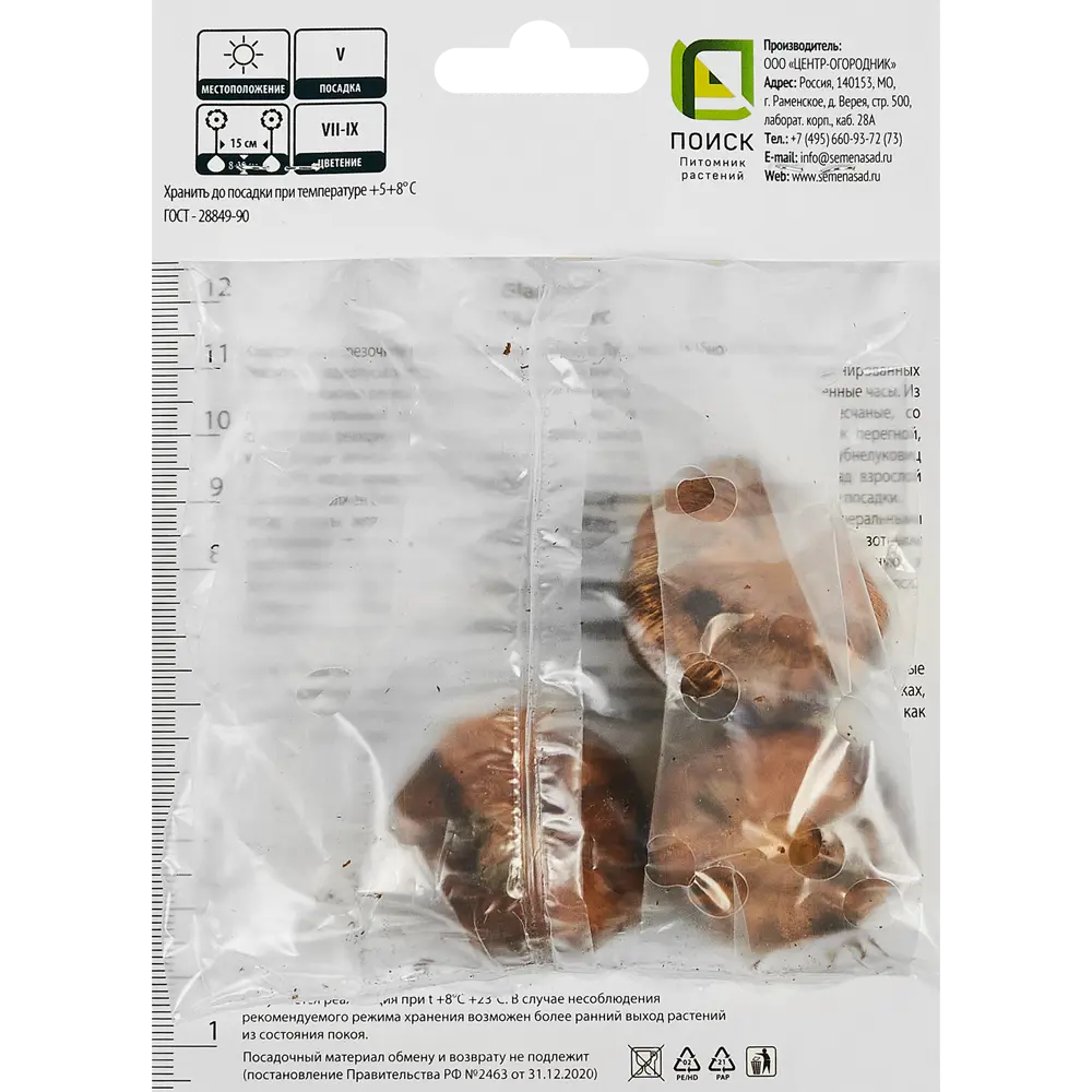 Гладиолус бамбино Веракс, 3 шт ПОИСК STLM-2087290 - Вид №1