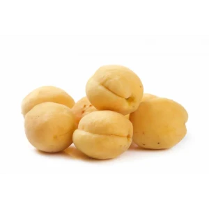 Абрикос «Шалах» C7 высота 150-180 см