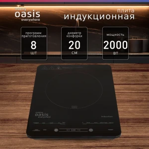 92003689 Кухонная плита Making oasis everywhere РI-B24SL 29 см 1 конфорка цвет черный STLM-1427139