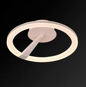 Потолочный светодиодный светильник IDLamp Jenevra 397/50-LEDWhitechrome IDLAMP JENEVRA 203029 Белый