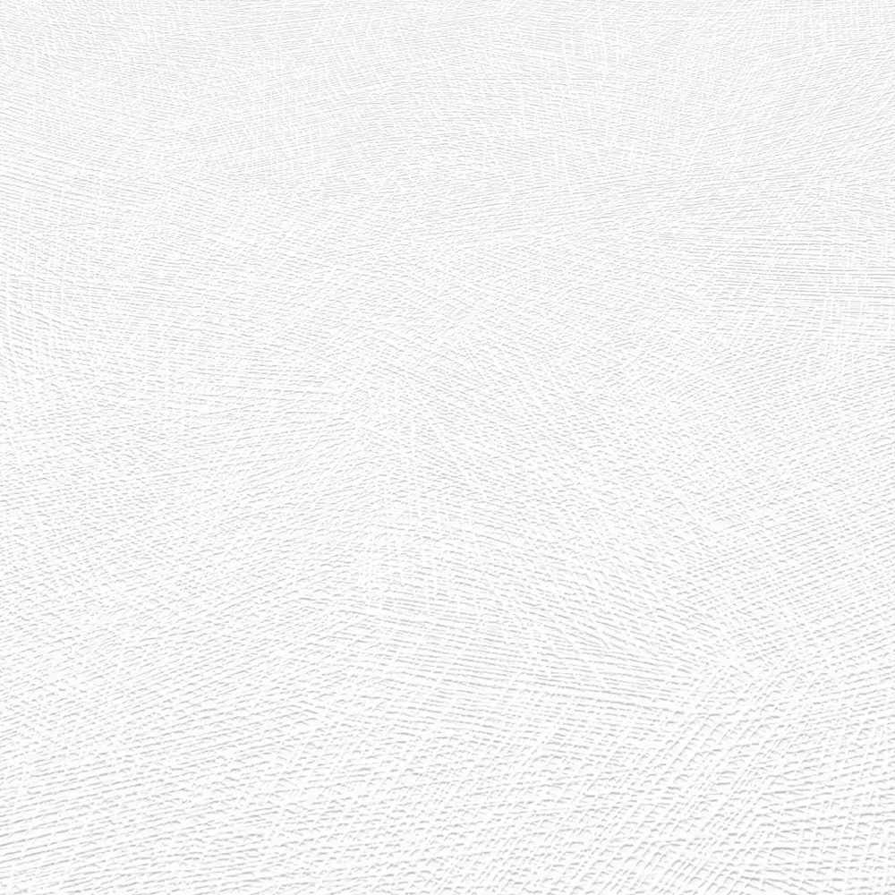 Обои под покраску Erismann Паутина - белые флизелиновые 89433806 STLM-1563882 - Вид №1
