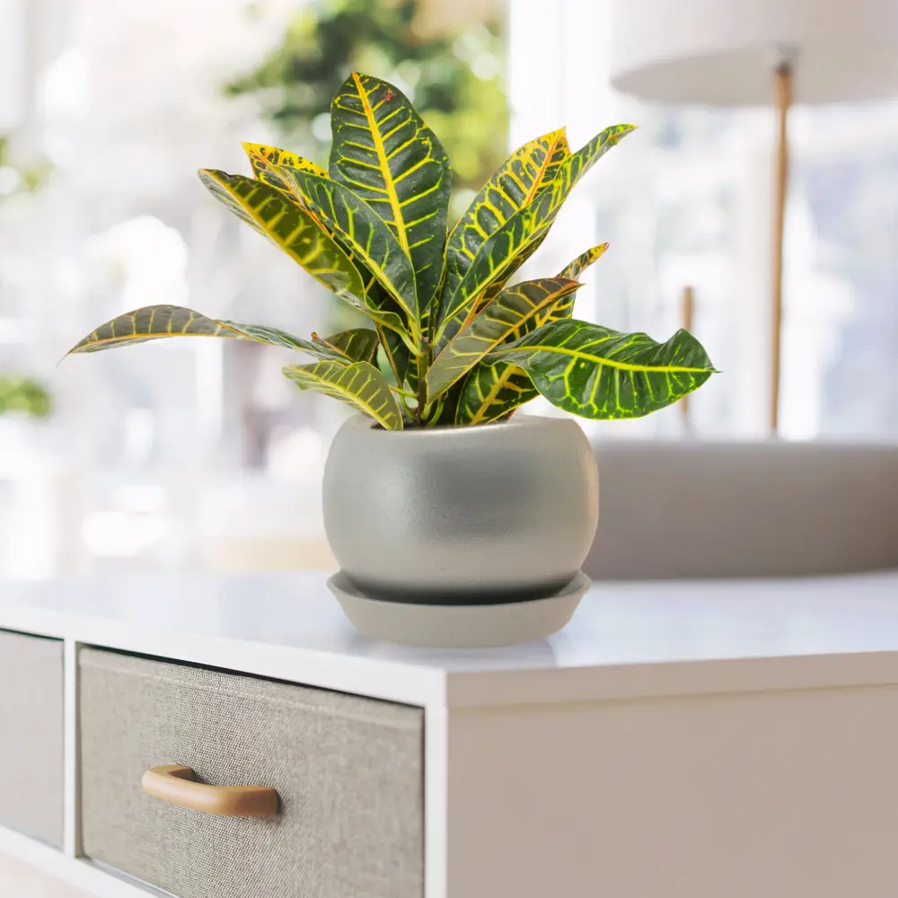 Горшок цветочный Gonchar Адель ø12.5 h11.5 см v1.2 л керамика медный STLM-2011822 - Вид №2