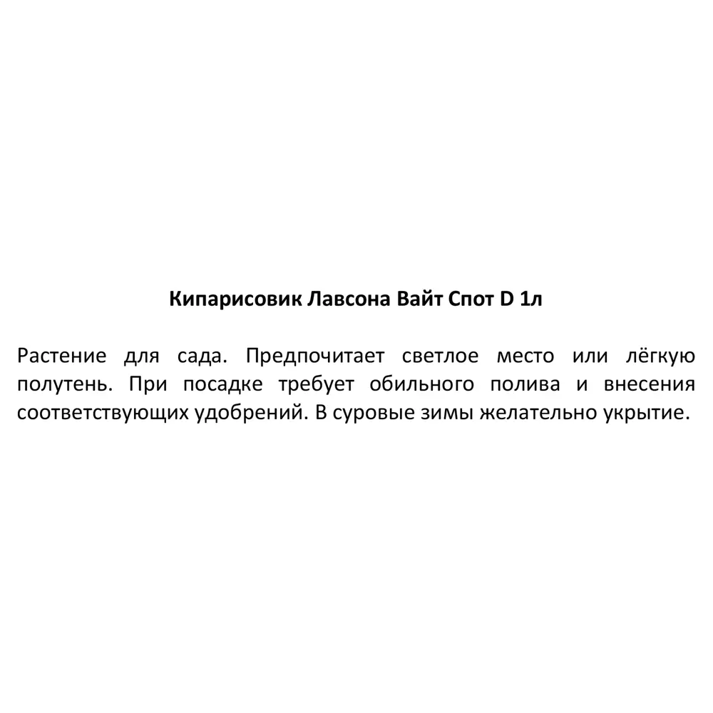 Кипарисовик Лавсона Вайт Спот h15 см 87718615 STLM-2126501 Santreyd  - Вид №2