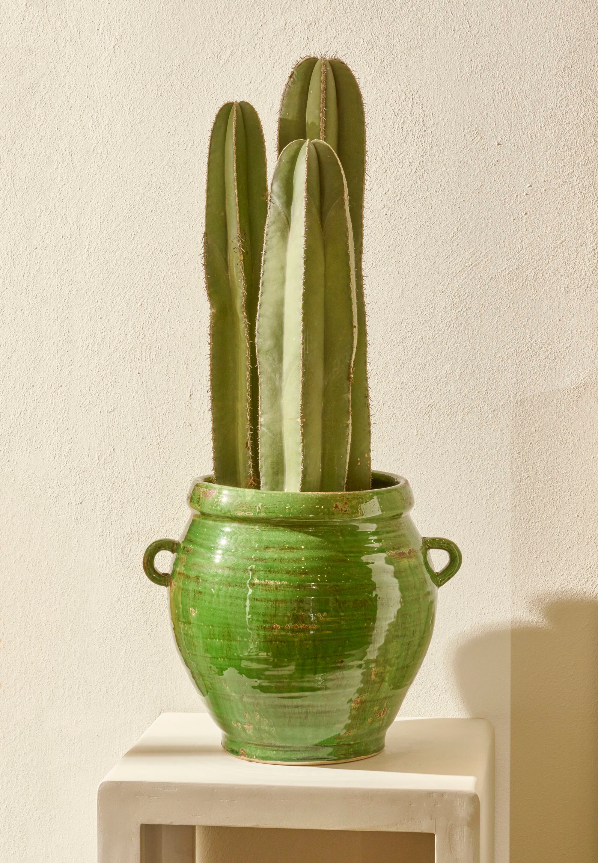 Круглая терракотовая ВАЗа POMAX MOSKU ARCH-00078517 - Вид №1