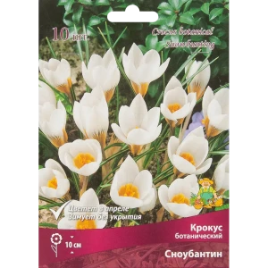 Крокус Сноубантин ПОИСК - белоснежные луковицы для весеннего сада, 10 шт 85204695