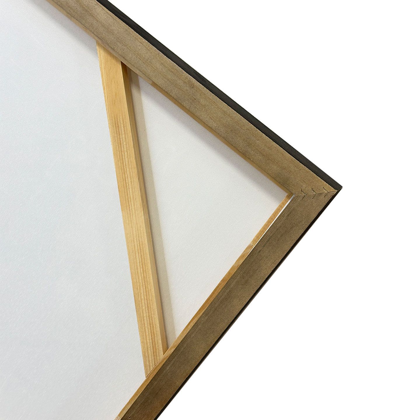 Холст рамки Agave JALISCO ARCH-00088457 - Вид №3