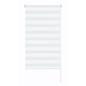 Рулонная штора день-ночь MIAMOZA Москва 55×160 см белая 89411423