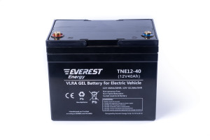 17377230 Тяговая аккумуляторная батарея TNE 12-40 EVEREST Energy