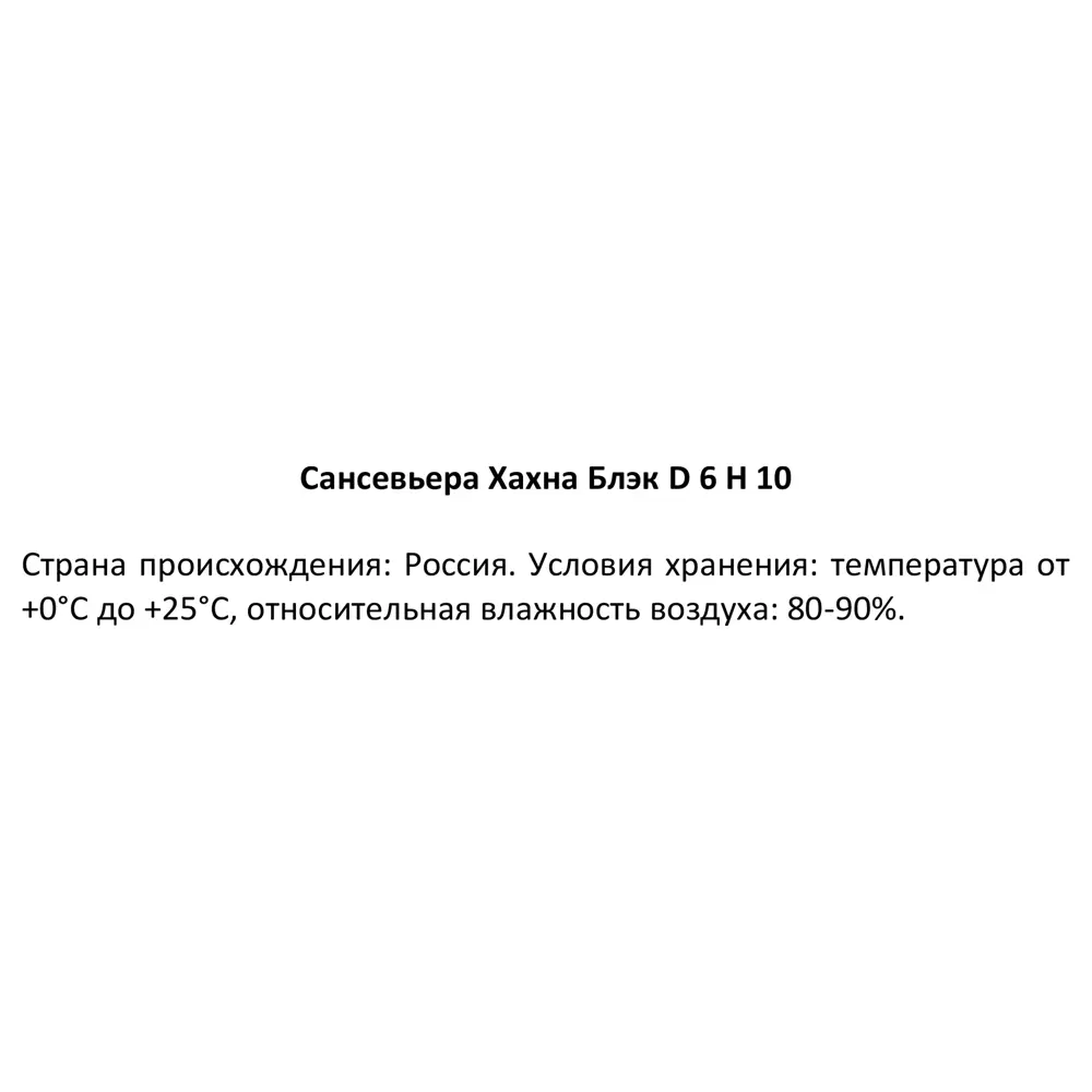 Сансевьера Хахна Блэк ø6 h10 см 87959850 STLM-2191291 Santreyd  - Вид №3