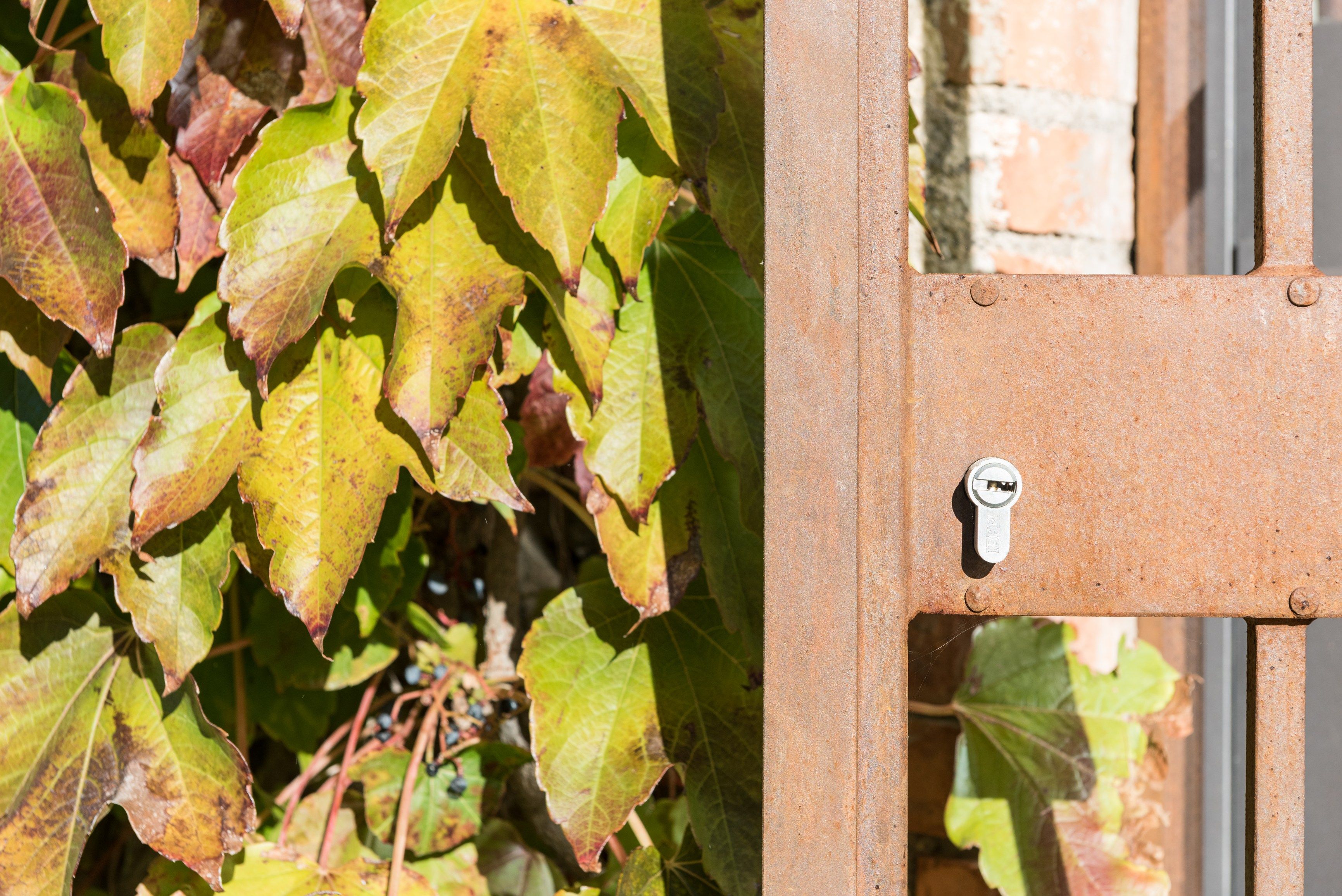 Стальная дверь-окно с термической резкой Ottostumm | Mogs Ferrofinox TB ARCH-00137349 - Вид №33