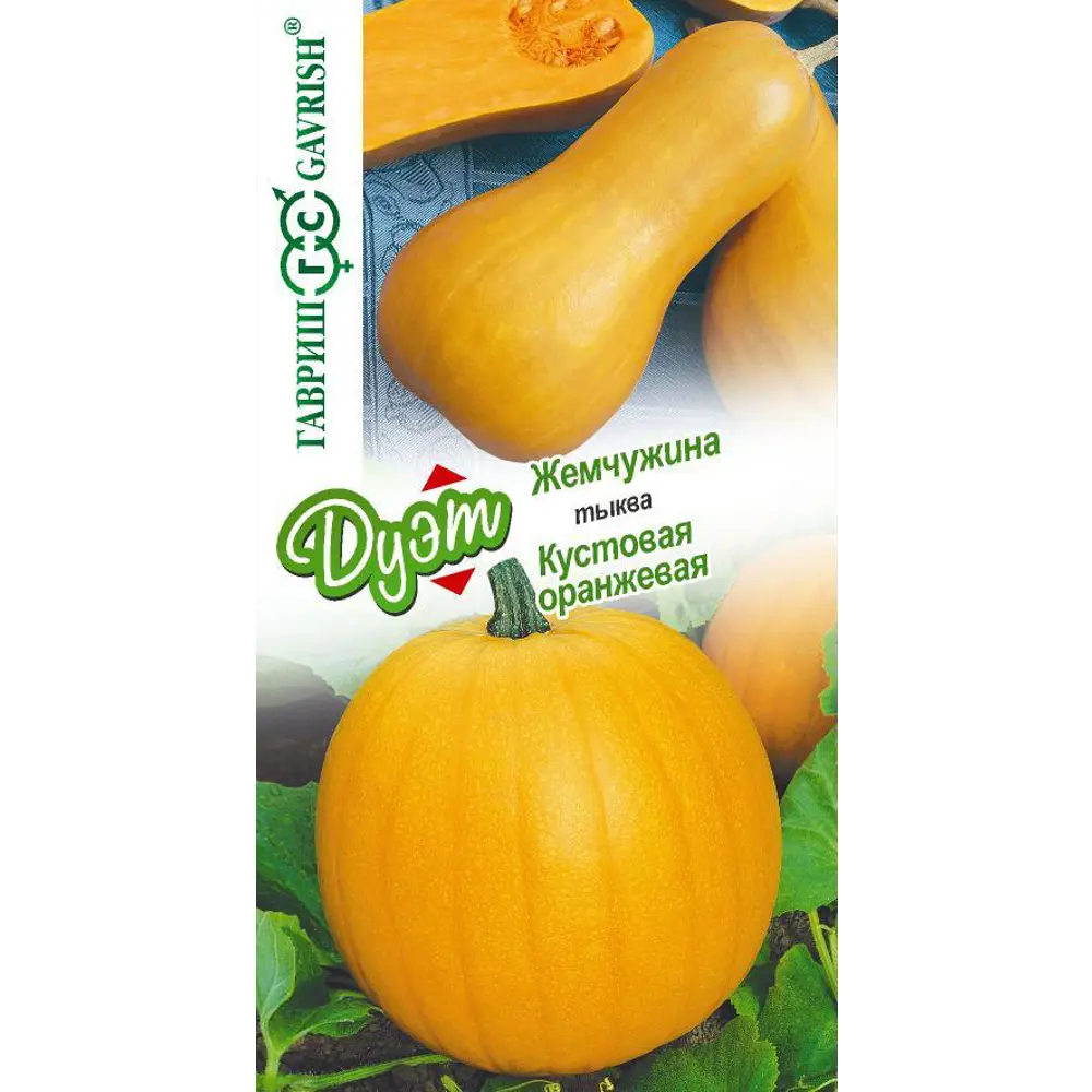 Семена овощей Гавриш тыква Жемчужина и Кустовая оранжевая STLM-2102930
