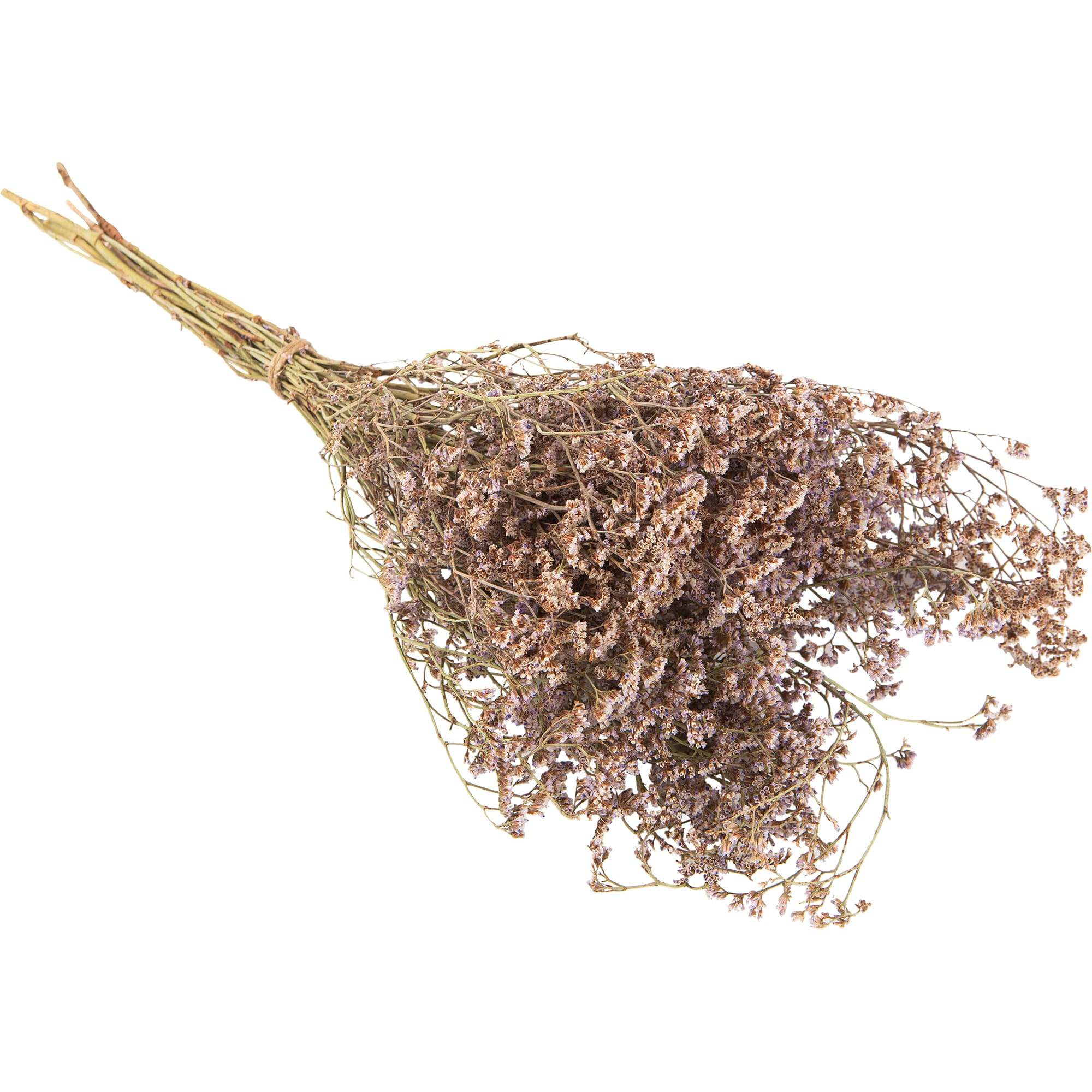 82355441 Букет из сухоцветов Лимониум Santreyd 