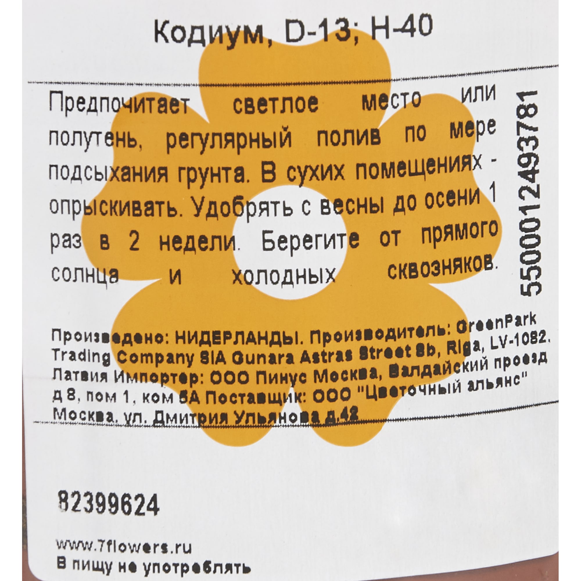 82399624 Кодиум 13x40 см Santreyd  - Вид №2