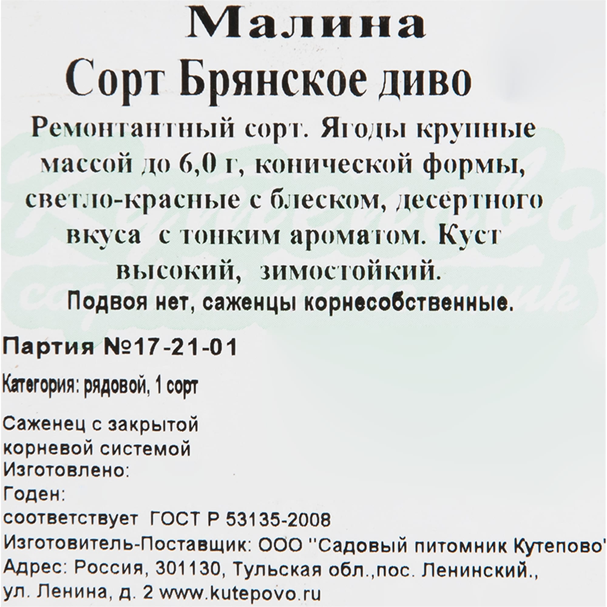 82597105 Малина «Брянское диво» C2 высота 40 см Santreyd  - Вид №1