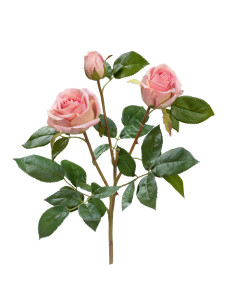 30.0611065LPK Роза Флорибунда Мидл ветвь нежно-розовая Цветочная коллекция