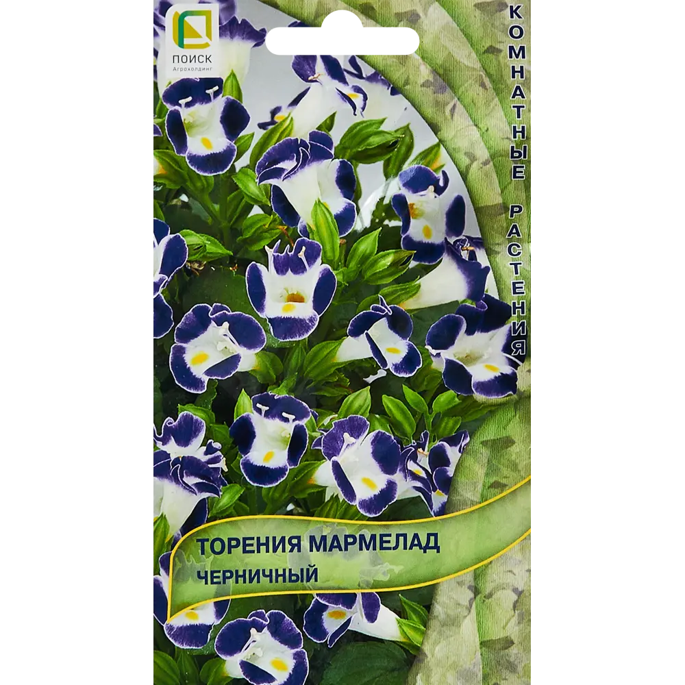 Семена цветов Поиск торения Мармелад черничный 5 шт. 89346583 STLM-2030225 