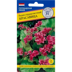 Семена цветов Бадан Красавица красный Престиж семена 82107683 STLM-2079707
