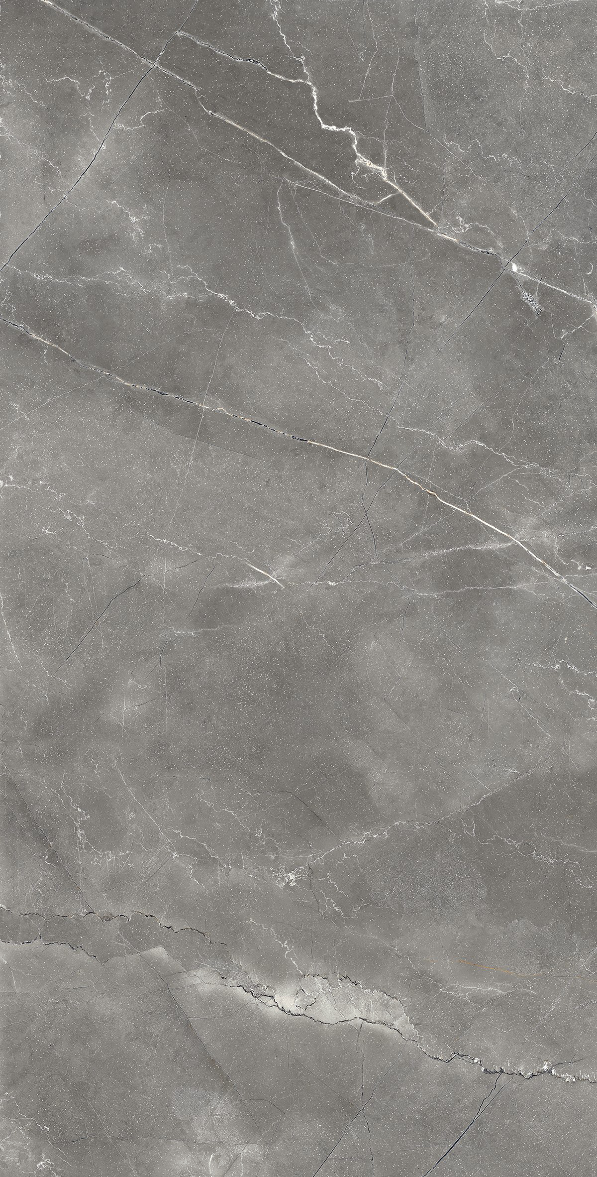 Керамогранит PULPIS NERO LAPPATO 60х120 Arcadia Ceramica CL4002-A - Вид №8
