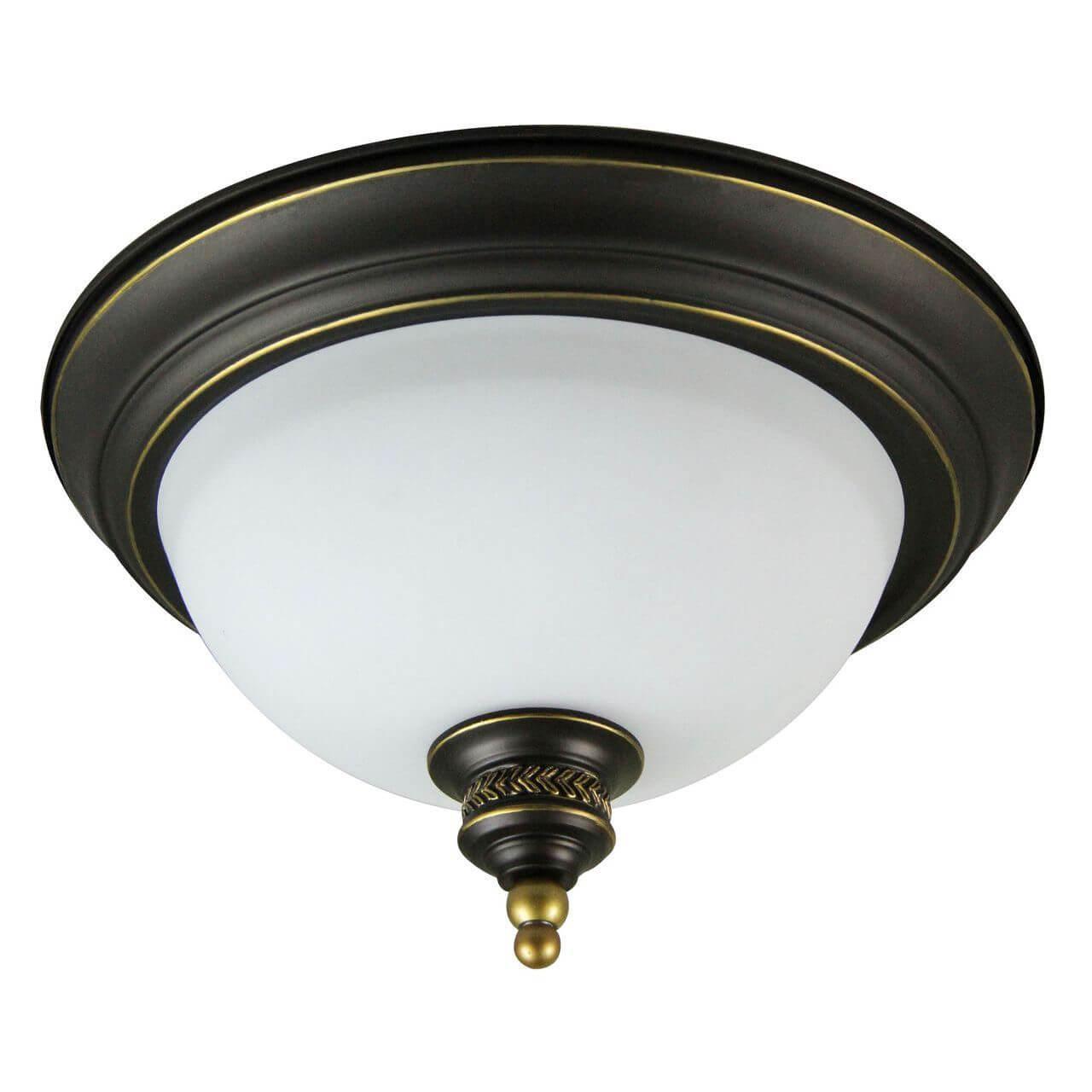 A9518PL-2BA Потолочный светильник Arte Lamp Bonito