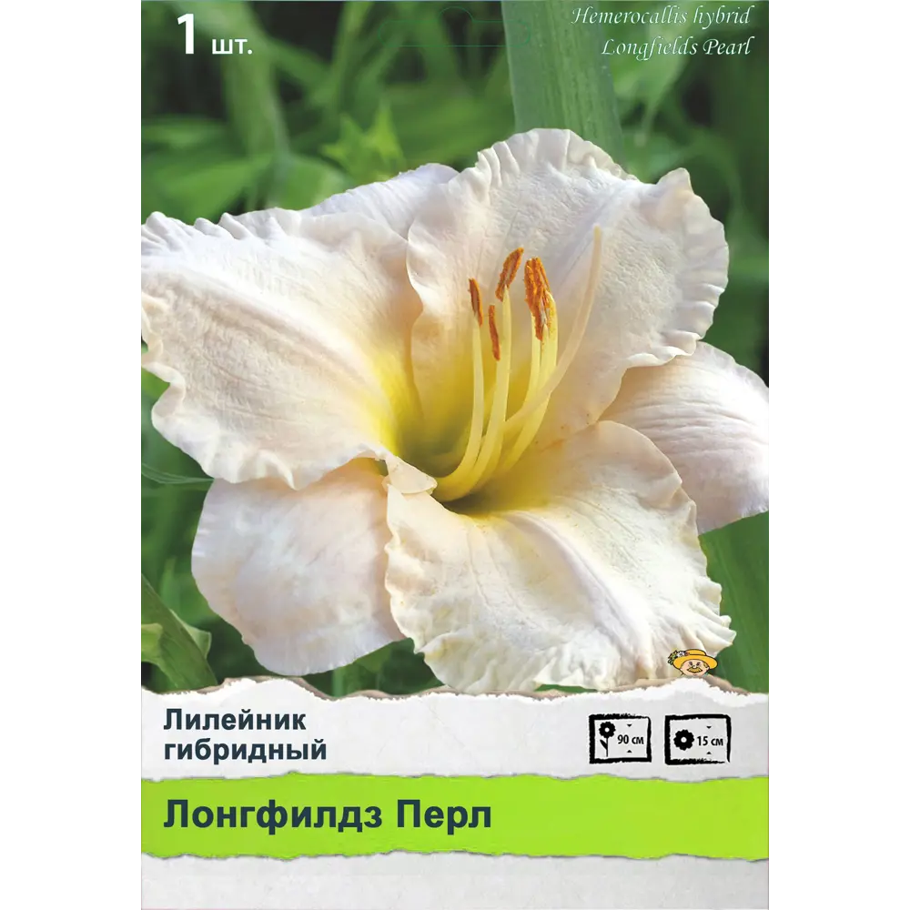 Ирис сибирский 89452219 STLM-2051455 ПОИСК  - Вид №1