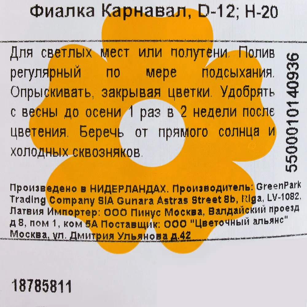 Фиалка «Карнавал» D12 H20 18785811 STLM-2117334 Santreyd  - Вид №3