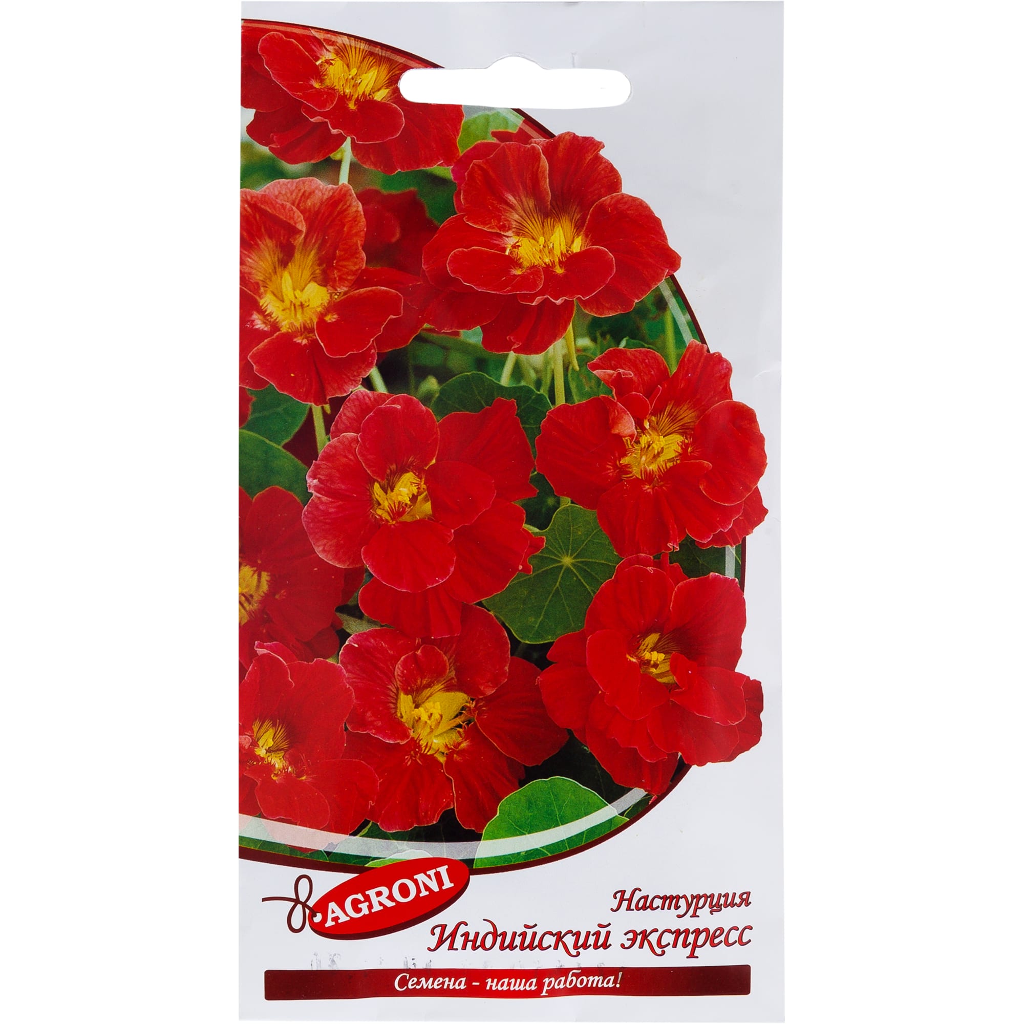 13846902 Настурция «Индийский экспресс» Santreyd 