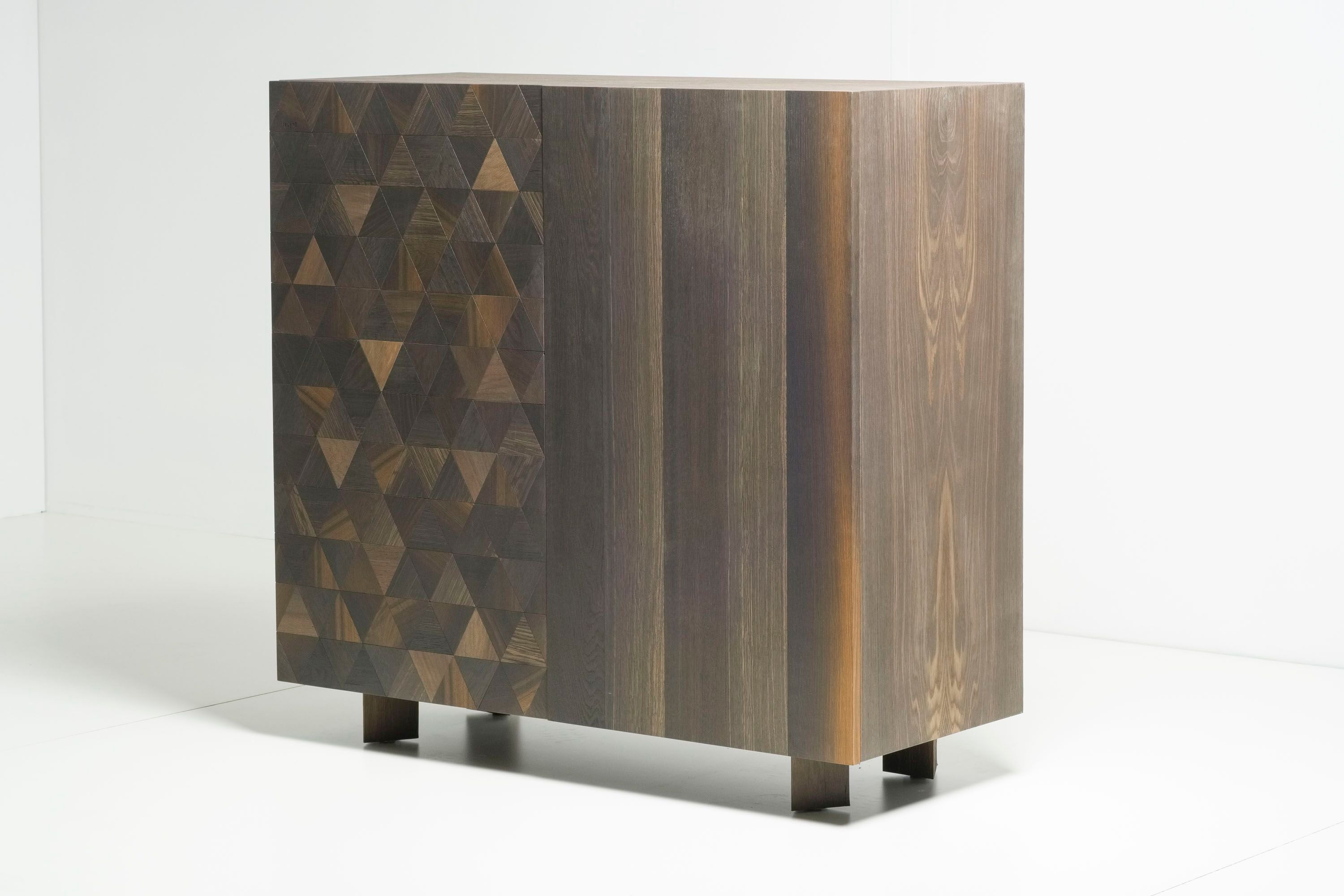 Шкаф из ископаемого дуба Teúkhō TRIGONO ARCH-00056133 - Вид №1