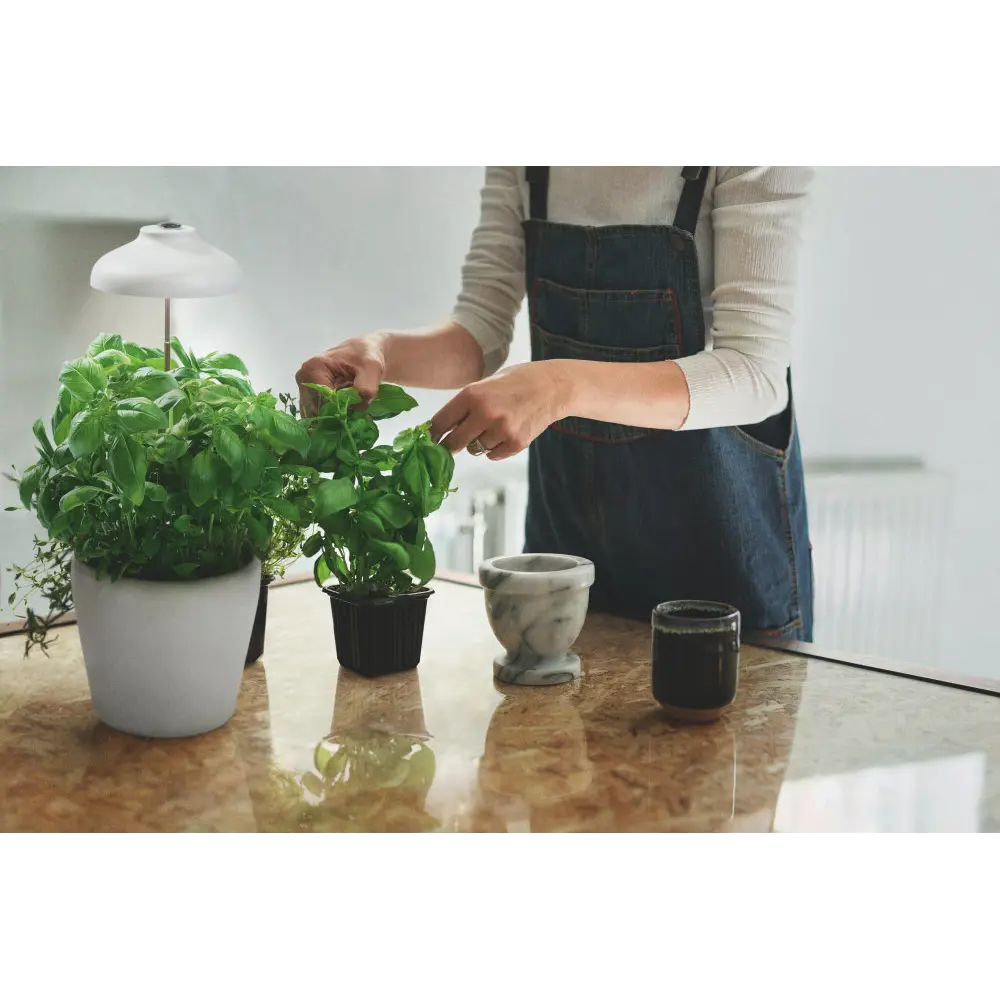 Фитосветильник светодиодный Ledvance, кабель питания USB, 5 Вт 71 см STLM-2064017 - Вид №6