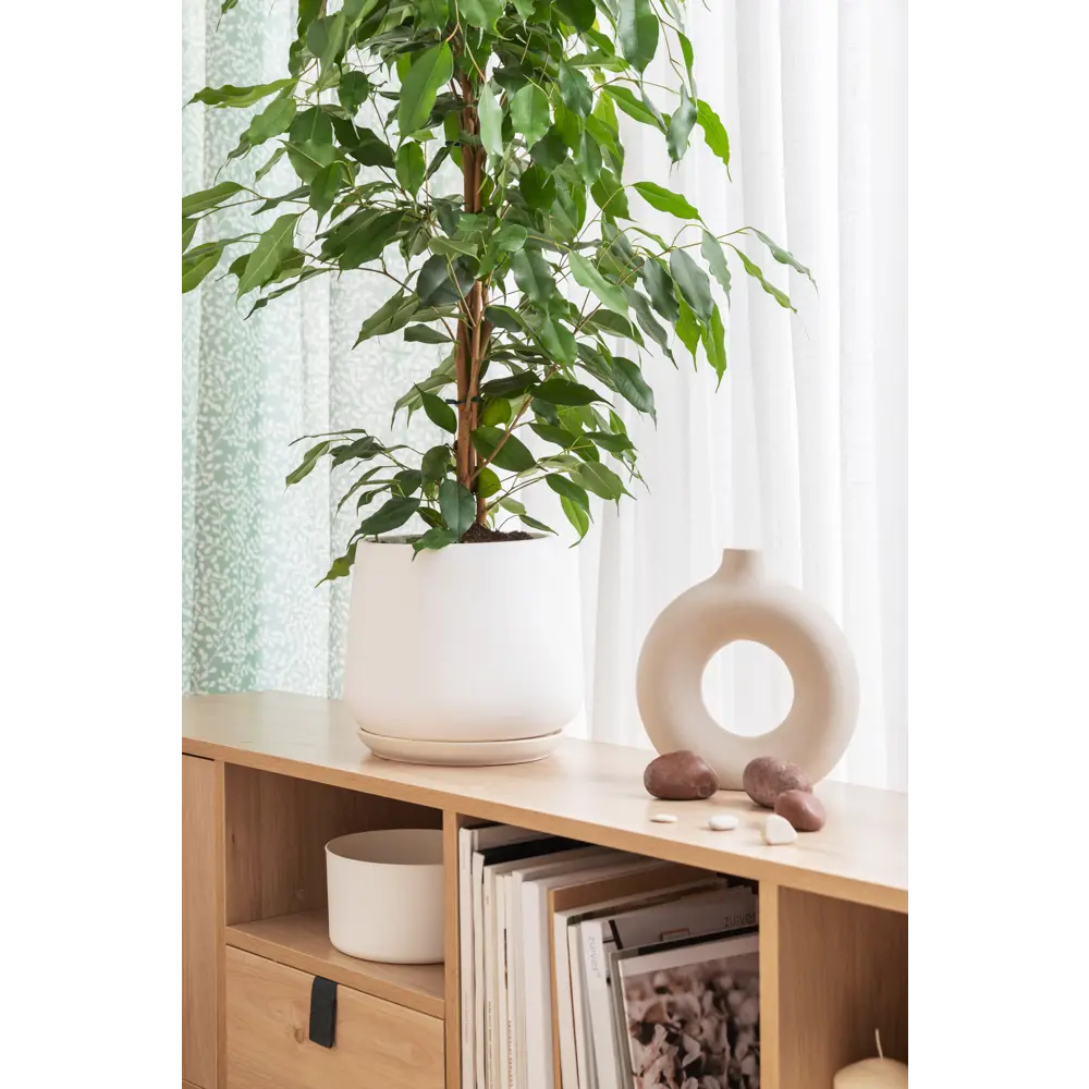 Керамический горшок GONCHAR Скарлет для бонсая и комнатных растений 82126342 STLM-0019810 - Вид №3