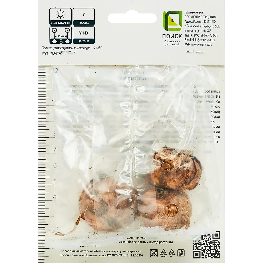 Гладиолус гофрированный Файр Крекер, 3 шт ПОИСК STLM-2156692 - Вид №1