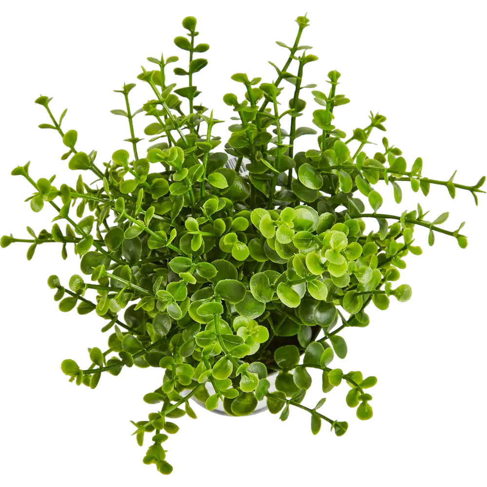 Искусственное растение в цинковом горшке Atmosphera D17x22 см микс STLM-2188552 - Вид №7